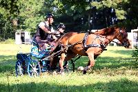 Photo n 48935&#10;TOURVILLE-LES-IFS 2019. Photo Nadine TOUDIC&#10;Alexandre THIBAUDEAU&#10;Affiche 8 fois&#10;Ajoute le 29/08/2019 08:24:55 par Nadinetoudic&#10;&#10;--> Cliquer pour agrandir <--