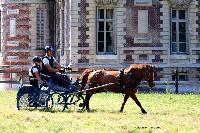 Photo n 48936&#10;TOURVILLE-LES-IFS 2019. Photo Nadine TOUDIC&#10;Alexandre THIBAUDEAU&#10;Affiche 41 fois&#10;Ajoute le 29/08/2019 08:24:55 par Nadinetoudic&#10;&#10;--> Cliquer pour agrandir <--