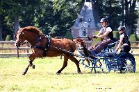 Photo n 48937&#10;TOURVILLE-LES-IFS 2019. Photo Nadine TOUDIC&#10;Alexandre THIBAUDEAU&#10;Affiche 21 fois&#10;Ajoute le 29/08/2019 08:24:55 par Nadinetoudic&#10;&#10;--> Cliquer pour agrandir <--