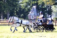 Photo n 48946&#10;TOURVILLE-LES-IFS 2019. Photo Nadine TOUDIC&#10;Pnlope BROOKE&#10;Affiche 9 fois&#10;Ajoute le 29/08/2019 08:24:55 par Nadinetoudic&#10;&#10;--> Cliquer pour agrandir <--