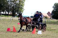 Photo n 48968&#10;Saint-Pierre-Bnouville 2019. Photo Nadine TOUDIC&#10;Richard LEGAY&#10;Affiche 9 fois&#10;Ajoute le 10/09/2019 09:08:44 par Nadinetoudic&#10;&#10;--> Cliquer pour agrandir <--