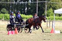 Photo n 48972&#10;Saint-Pierre-Bnouville 2019. Photo Nadine TOUDIC&#10;Richard LEGAY&#10;Affiche 7 fois&#10;Ajoute le 10/09/2019 09:08:44 par Nadinetoudic&#10;&#10;--> Cliquer pour agrandir <--