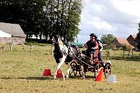 Photo n 48977&#10;Saint-Pierre-Bnouville 2019. Photo Nadine TOUDIC&#10;Thierry AUBE&#10;Affiche 12 fois&#10;Ajoute le 10/09/2019 09:08:44 par Nadinetoudic&#10;&#10;--> Cliquer pour agrandir <--