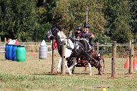 Photo n° 48979
Saint-Pierre-Bénouville 2019. Photo Nadine TOUDIC
Thierry AUBE
Affichée 10 fois
Ajoutée le 10/09/2019 09:08:44 par Nadinetoudic

--> Cliquer pour agrandir <--