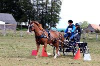 Photo n 48985&#10;Saint-Pierre-Bnouville 2019. Photo Nadine TOUDIC&#10;Andr VASSEUR&#10;Affiche 8 fois&#10;Ajoute le 10/09/2019 09:22:26 par Nadinetoudic&#10;&#10;--> Cliquer pour agrandir <--
