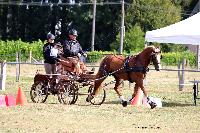 Photo n 48997&#10;Saint-Pierre-Bnouville 2019. Photo Nadine TOUDIC&#10;Grgory BARDIN&#10;Affiche 16 fois&#10;Ajoute le 10/09/2019 09:22:27 par Nadinetoudic&#10;&#10;--> Cliquer pour agrandir <--