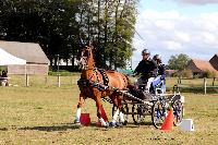 Photo n 49002&#10;Saint-Pierre-Bnouville 2019. Photo Nadine TOUDIC&#10;Daniel DEFEZ&#10;Affiche 10 fois&#10;Ajoute le 10/09/2019 09:22:27 par Nadinetoudic&#10;&#10;--> Cliquer pour agrandir <--
