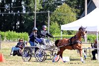 Photo n 49004&#10;Saint-Pierre-Bnouville 2019. Photo Nadine TOUDIC&#10;Daniel DEFEZ&#10;Affiche 12 fois&#10;Ajoute le 10/09/2019 09:22:27 par Nadinetoudic&#10;&#10;--> Cliquer pour agrandir <--