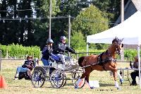 Photo n° 49004
Saint-Pierre-Bénouville 2019. Photo Nadine TOUDIC
Daniel DEFEZ
Affichée 10 fois
Ajoutée le 10/09/2019 09:22:27 par Nadinetoudic

--> Cliquer pour agrandir <--