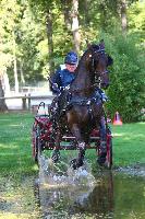 Photo n 49011&#10;Compigne 2019 - photo Alice Trangosi&#10;&#10;Affiche 21 fois&#10;Ajoute le 15/09/2019 14:11:34 par JeanClaudeGrognet&#10;&#10;--> Cliquer pour agrandir <--