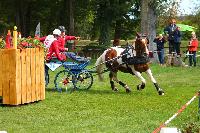 Photo n 49017&#10;Compigne 2019 - photo Alice Trangosi&#10;&#10;Affiche 27 fois&#10;Ajoute le 15/09/2019 14:11:35 par JeanClaudeGrognet&#10;&#10;--> Cliquer pour agrandir <--