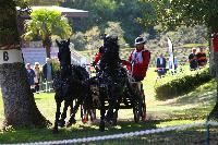Photo n 49019&#10;Compigne 2019 - photo Alice Trangosi&#10;&#10;Affiche 11 fois&#10;Ajoute le 15/09/2019 14:11:35 par JeanClaudeGrognet&#10;&#10;--> Cliquer pour agrandir <--