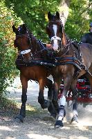 Photo n 49021&#10;Compigne 2019 - photo Alice Trangosi&#10;&#10;Affiche 15 fois&#10;Ajoute le 15/09/2019 14:11:35 par JeanClaudeGrognet&#10;&#10;--> Cliquer pour agrandir <--