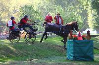 Photo n° 49022
Compiègne 2019 - photo Alice Trangosi

Affichée 24 fois
Ajoutée le 15/09/2019 14:11:35 par JeanClaudeGrognet

--> Cliquer pour agrandir <--