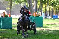 Photo n 49023&#10;Compigne 2019 - photo Alice Trangosi&#10;&#10;Affiche 17 fois&#10;Ajoute le 15/09/2019 14:11:35 par JeanClaudeGrognet&#10;&#10;--> Cliquer pour agrandir <--