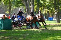 Photo n 49024&#10;Compigne 2019 - photo Alice Trangosi&#10;&#10;Affiche 16 fois&#10;Ajoute le 15/09/2019 14:11:35 par JeanClaudeGrognet&#10;&#10;--> Cliquer pour agrandir <--