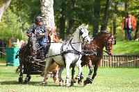 Photo n° 49026
Compiègne 2019 - photo Alice Trangosi

Affichée 18 fois
Ajoutée le 15/09/2019 14:11:35 par JeanClaudeGrognet

--> Cliquer pour agrandir <--