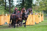 Photo n 49027&#10;Compigne 2019 - photo Alice Trangosi&#10;&#10;Affiche 22 fois&#10;Ajoute le 15/09/2019 14:11:35 par JeanClaudeGrognet&#10;&#10;--> Cliquer pour agrandir <--