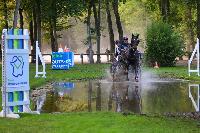 Photo n° 49028
Compiègne 2019 - photo Alice Trangosi

Affichée 18 fois
Ajoutée le 15/09/2019 14:11:35 par JeanClaudeGrognet

--> Cliquer pour agrandir <--