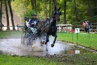 Photo n 49029&#10;Compigne 2019 - photo Alice Trangosi&#10;&#10;Affiche 29 fois&#10;Ajoute le 15/09/2019 14:11:35 par JeanClaudeGrognet&#10;&#10;--> Cliquer pour agrandir <--