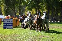 Photo n° 49030
Compiègne 2019 - photo Alice Trangosi

Affichée 38 fois
Ajoutée le 15/09/2019 14:11:35 par JeanClaudeGrognet

--> Cliquer pour agrandir <--