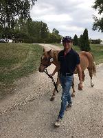 Photo n 49084&#10;KISBER ASZAR CdM Poneys photo Dudule&#10;retour du toisage Robin Cressent&#10;Affiche 38 fois&#10;Ajoute le 24/09/2019 09:37:27 par JeanClaudeGrognet&#10;&#10;--> Cliquer pour agrandir <--