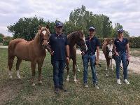 Photo n 49085&#10;KISBER ASZAR CdM Poneys photo Dudule&#10;&#10;Affiche 41 fois&#10;Ajoute le 24/09/2019 09:37:27 par JeanClaudeGrognet&#10;&#10;--> Cliquer pour agrandir <--
