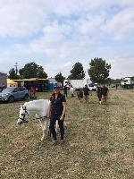 Photo n 49087&#10;KISBER ASZAR CdM Poneys photo Dudule&#10;retour du toisage Amandine Debove&#10;Affiche 31 fois&#10;Ajoute le 24/09/2019 09:37:27 par JeanClaudeGrognet&#10;&#10;--> Cliquer pour agrandir <--