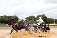 Photo n 49107&#10;MESLAY-DU-MAINE 2019. Photo Nadine TOUDIC&#10;Stphane BAILLIF&#10;Affiche 12 fois&#10;Ajoute le 24/09/2019 09:50:13 par Nadinetoudic&#10;&#10;--> Cliquer pour agrandir <--