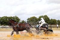 Photo n° 49107
MESLAY-DU-MAINE 2019. Photo Nadine TOUDIC
Stéphane BAILLIF
Affichée 10 fois
Ajoutée le 24/09/2019 09:50:13 par Nadinetoudic

--> Cliquer pour agrandir <--