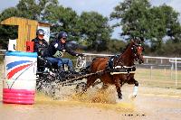 Photo n 49111&#10;MESLAY-DU-MAINE 2019. Photo Nadine TOUDIC&#10;Blanche DE MARTIGNY&#10;Affiche 13 fois&#10;Ajoute le 24/09/2019 09:50:13 par Nadinetoudic&#10;&#10;--> Cliquer pour agrandir <--