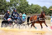 Photo n 49112&#10;MESLAY-DU-MAINE 2019. Photo Nadine TOUDIC&#10;Blanche DE MARTIGNY&#10;Affiche 18 fois&#10;Ajoute le 24/09/2019 09:50:13 par Nadinetoudic&#10;&#10;--> Cliquer pour agrandir <--
