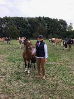 Photo n 49119&#10;KISBER ASZAR CdM poneys photo Dudule&#10;Amandine Debove&#10;Affiche 53 fois&#10;Ajoute le 24/09/2019 17:32:28 par JeanClaudeGrognet&#10;&#10;--> Cliquer pour agrandir <--