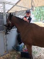 Photo n 49120&#10;KISBER ASZAR CdM poneys photo Dudule&#10;Louise Fillon&#10;Affiche 66 fois&#10;Ajoute le 24/09/2019 17:32:28 par JeanClaudeGrognet&#10;&#10;--> Cliquer pour agrandir <--