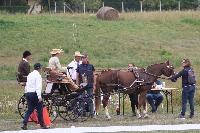 Photo n 49134&#10;KISBER CdM poneys - photo Delphine &#10;Claire Lefort, tout une quipe tendue vers la performance&#10;Affiche 24 fois&#10;Ajoute le 26/09/2019 09:06:00 par JeanClaudeGrognet&#10;&#10;--> Cliquer pour agrandir <--