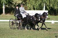 Photo n 49135&#10;KISBER CdM poneys&#10;Jean Frdric Selle&#10;Affiche 49 fois&#10;Ajoute le 27/09/2019 08:30:50 par JeanClaudeGrognet&#10;&#10;--> Cliquer pour agrandir <--