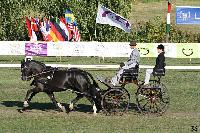 Photo n 49136&#10;KISBER CdM poneys&#10;Jean Frdric Selle&#10;Affiche 23 fois&#10;Ajoute le 27/09/2019 08:30:50 par JeanClaudeGrognet&#10;&#10;--> Cliquer pour agrandir <--
