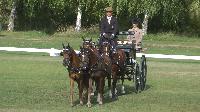 Photo n° 49138
KISBER CdM poneys 
Steffen Brauchle (Ger) vainqueur du dressage 4 poneys
Affichée 23 fois
Ajoutée le 27/09/2019 17:00:03 par JeanClaudeGrognet

--> Cliquer pour agrandir <--