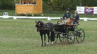 Photo n 49139&#10;KISBER CdM poneys &#10;Pilj Tamara (Ned) vainqueur du dressage 1 poney &#10;Affiche 43 fois&#10;Ajoute le 27/09/2019 17:00:04 par JeanClaudeGrognet&#10;&#10;--> Cliquer pour agrandir <--
