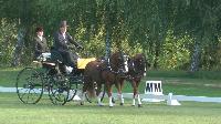 Photo n 49140&#10;KISBER CdM poneys &#10;Christof Weihe  (Ger) vainqueur du dressage 2 poneys&#10;Affiche 27 fois&#10;Ajoute le 27/09/2019 17:00:04 par JeanClaudeGrognet&#10;&#10;--> Cliquer pour agrandir <--