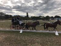 Photo n 49144&#10;KISBER CdM Poneys photo Dudule&#10;Amandine Debove&#10;Affiche 20 fois&#10;Ajoute le 28/09/2019 08:22:39 par JeanClaudeGrognet&#10;&#10;--> Cliquer pour agrandir <--