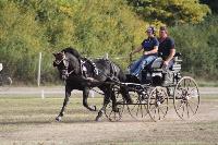 Photo n 49150&#10;KISBER CdM poneys quipe Delphine de Jotemps&#10;&#10;Affiche 84 fois&#10;Ajoute le 28/09/2019 09:14:08 par JeanClaudeGrognet&#10;&#10;--> Cliquer pour agrandir <--