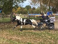 Photo n 49153&#10;KISBER CdM poneys photo Dudule&#10;Anna Chrismann&#10;Affiche 78 fois&#10;Ajoute le 29/09/2019 10:14:50 par JeanClaudeGrognet&#10;&#10;--> Cliquer pour agrandir <--