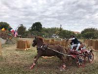 Photo n 49155&#10;KISBER CdM poneys photo Dudule&#10;&#10;Affiche 41 fois&#10;Ajoute le 29/09/2019 10:14:50 par JeanClaudeGrognet&#10;&#10;--> Cliquer pour agrandir <--