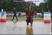 Photo n 49162&#10;Meslay du Maine CdF trait 2019 photo  M.A Jeanjean&#10;&#10;Affiche 22 fois&#10;Ajoute le 06/10/2019 08:52:46 par JeanClaudeGrognet&#10;&#10;--> Cliquer pour agrandir <--