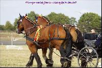 Photo n 49170&#10;Meslay du Maine CdF trait 2019 photo  M.A Jeanjean&#10;&#10;Affiche 16 fois&#10;Ajoute le 06/10/2019 08:52:47 par JeanClaudeGrognet&#10;&#10;--> Cliquer pour agrandir <--