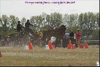 Photo n 49174&#10;Meslay du Maine CdF trait 2019 photo  M.A Jeanjean&#10;&#10;Affiche 11 fois&#10;Ajoute le 06/10/2019 08:52:47 par JeanClaudeGrognet&#10;&#10;--> Cliquer pour agrandir <--