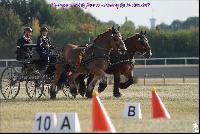 Photo n 49176&#10;Meslay du Maine CdF trait 2019 photo  M.A Jeanjean&#10;&#10;Affiche 11 fois&#10;Ajoute le 06/10/2019 08:52:47 par JeanClaudeGrognet&#10;&#10;--> Cliquer pour agrandir <--