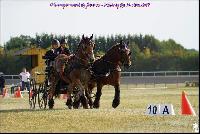 Photo n 49177&#10;Meslay du Maine CdF trait 2019 photo  M.A Jeanjean&#10;&#10;Affiche 9 fois&#10;Ajoute le 06/10/2019 08:52:47 par JeanClaudeGrognet&#10;&#10;--> Cliquer pour agrandir <--