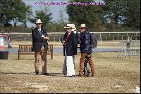 Photo n 49178&#10;Meslay du Maine CdF trait 2019 photo  M.A Jeanjean&#10;&#10;Affiche 30 fois&#10;Ajoute le 06/10/2019 08:52:47 par JeanClaudeGrognet&#10;&#10;--> Cliquer pour agrandir <--